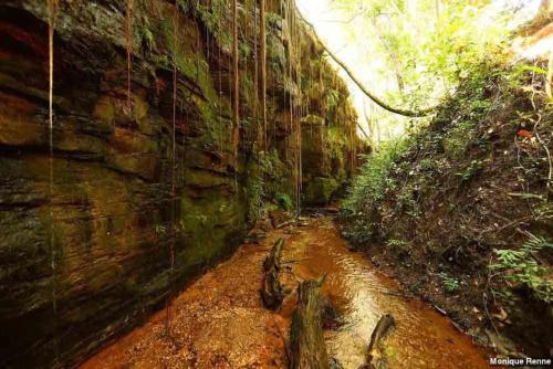 hplus premium palmas