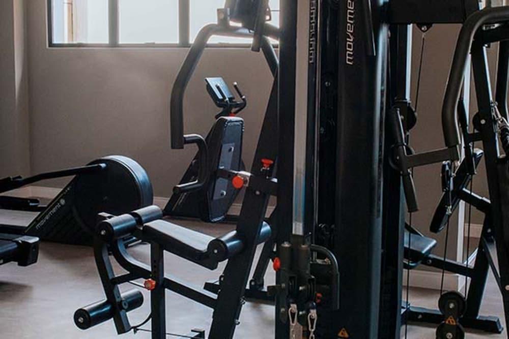 hplus premium palmas