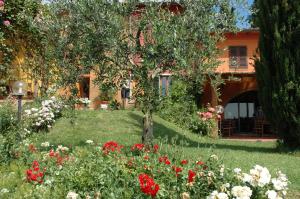 montespertoli