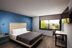 hotel mx lagunilla