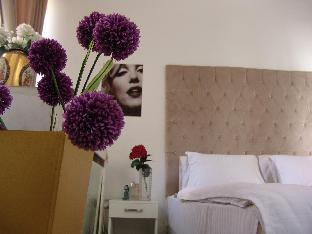velvet hotel