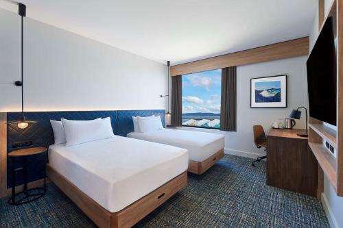 hilton garden inn albany