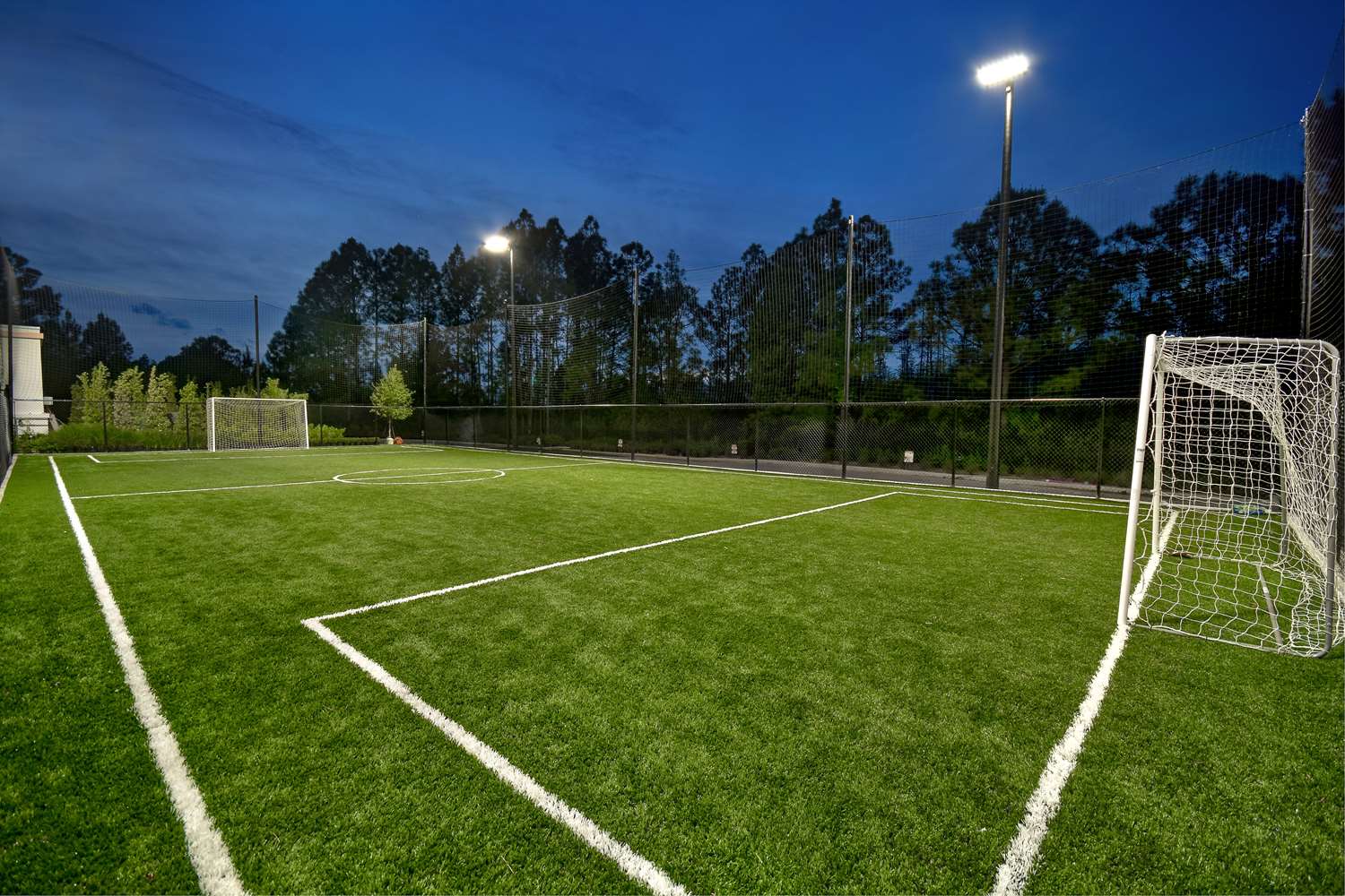 homewood suites by hilton orlando at flamingo crossings