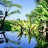 sannin resort