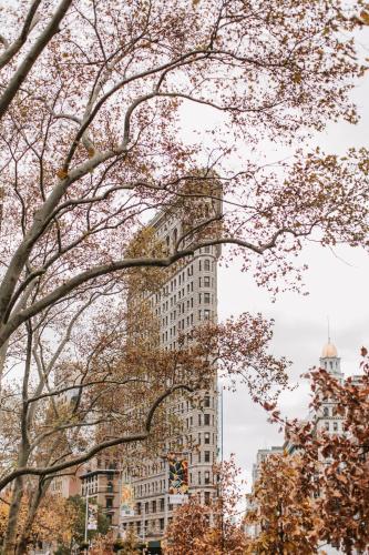 hyatt place new york chelsea