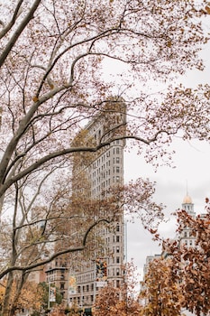 hyatt place new york chelsea