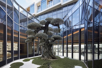 jw marriott shanghai fengxian