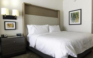 holiday inn glendale stadium and ent dist