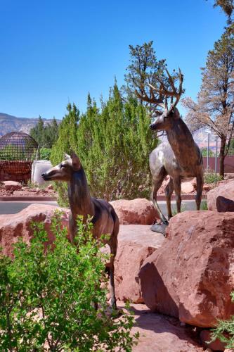residence inn by marriott sedona