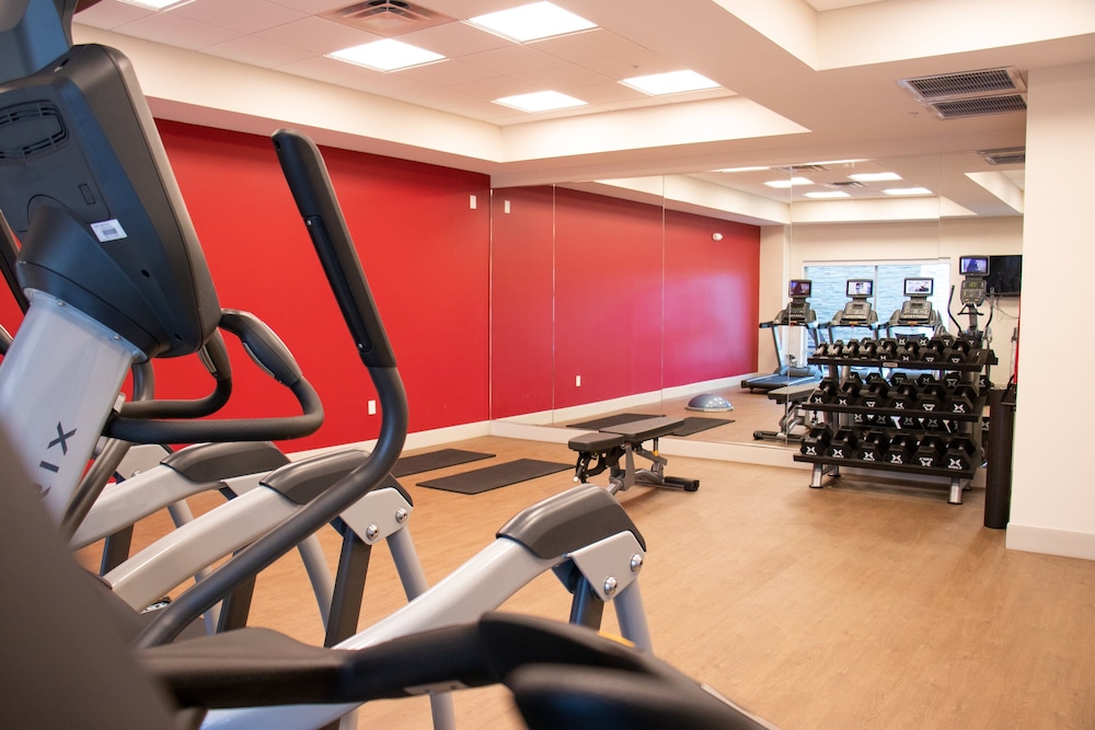 holiday inn express and suites tuscaloosa east cottondale
