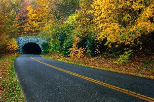 candlewood suites asheville downtown an ihg hotel
