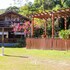 canelinha