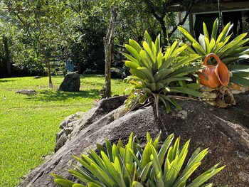 sitio morada do pai