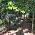 sitio morada do pai