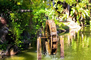 sitio morada do pai