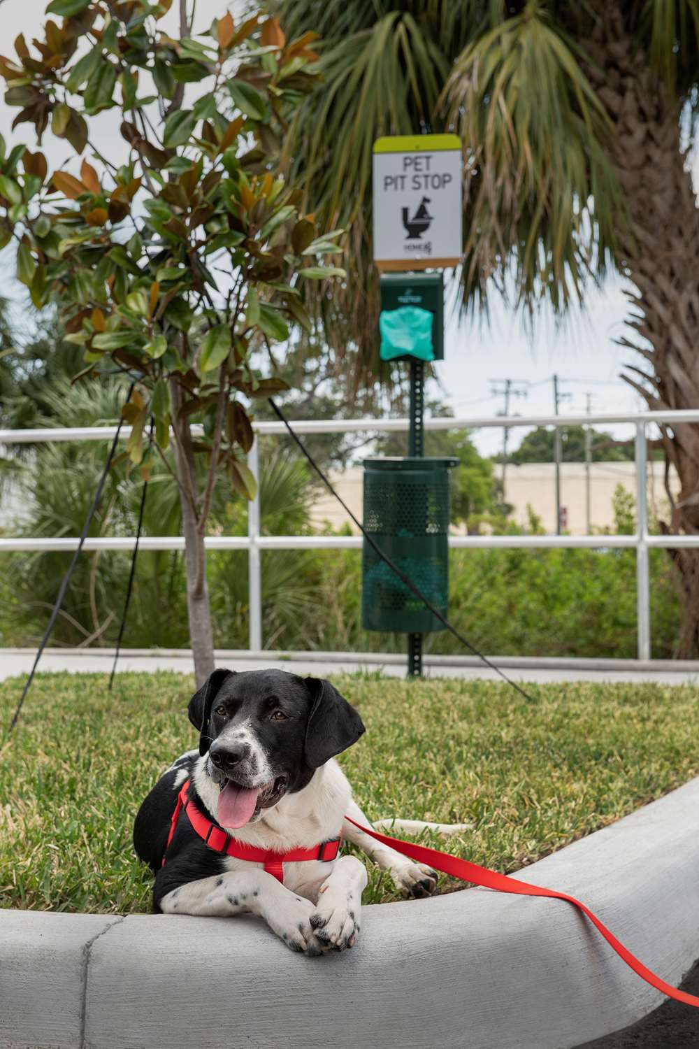 home2 suites by hilton tampa westshore airport fl