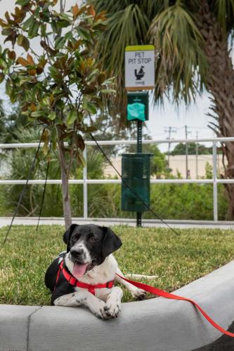 home2 suites by hilton tampa westshore airport fl