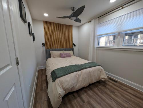 colony suite