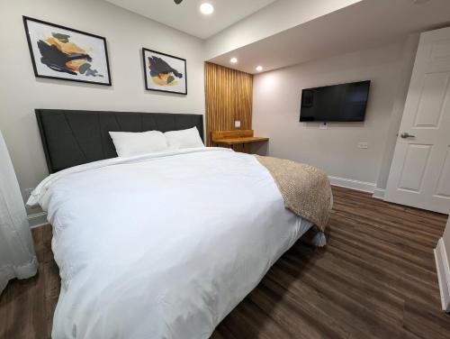 colony suite