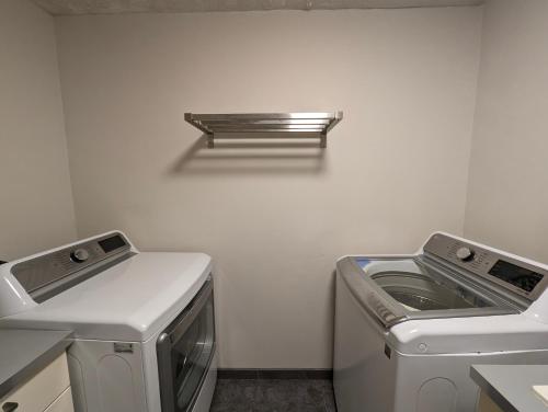 colony suite