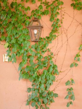 san casciano in val di pesa