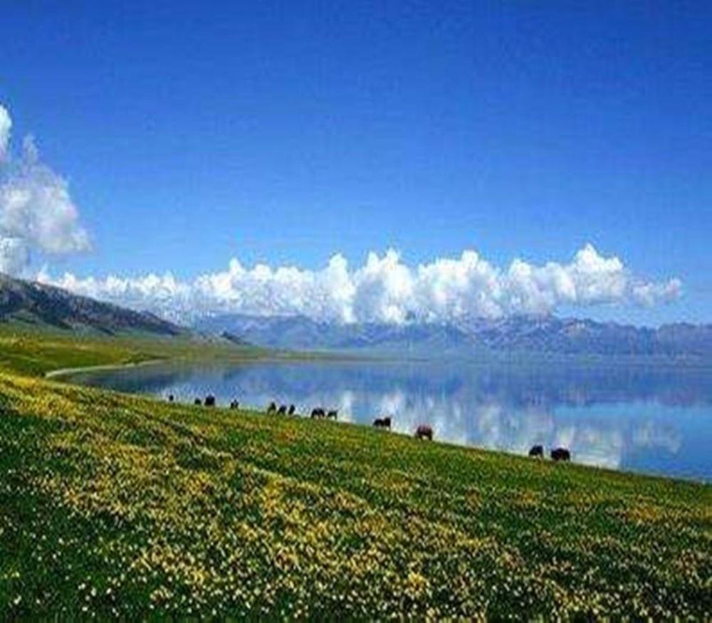 hotel paiyining jiefang road new timesplazabrach