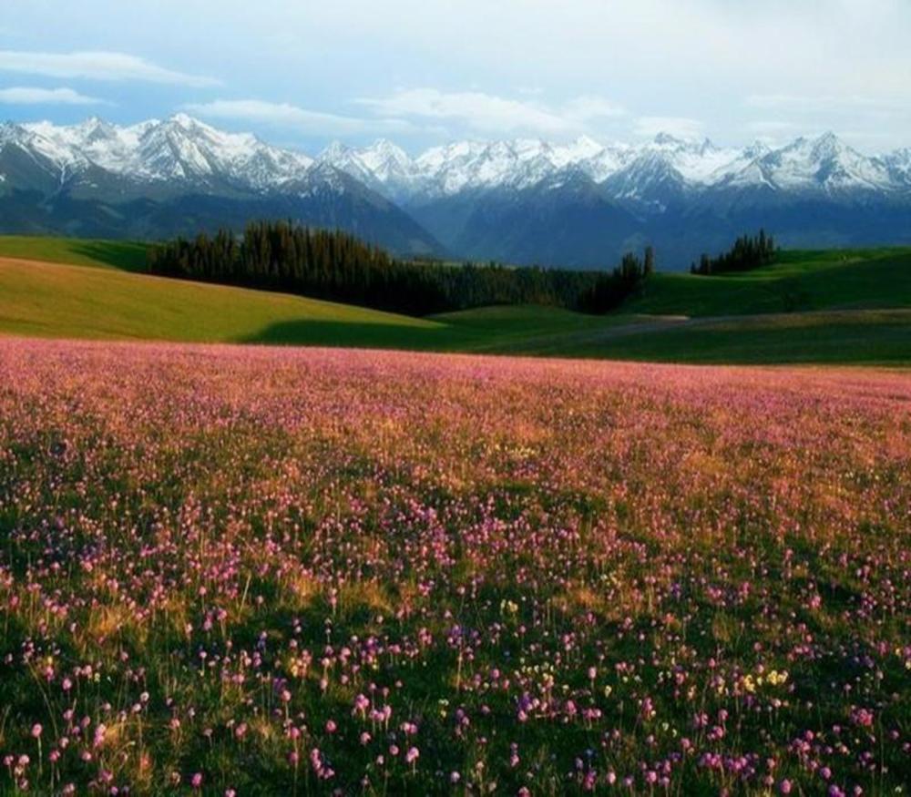 hotel paiyining jiefang road new timesplazabrach