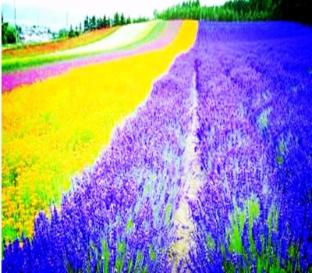 hotel paiyining jiefang road new timesplazabrach