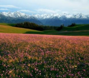 hotel paiyining jiefang road new timesplazabrach