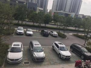 7 days premiuma suqian yanghe winery