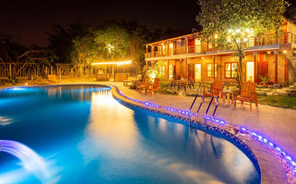 lavender homestay