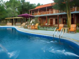 lavender homestay