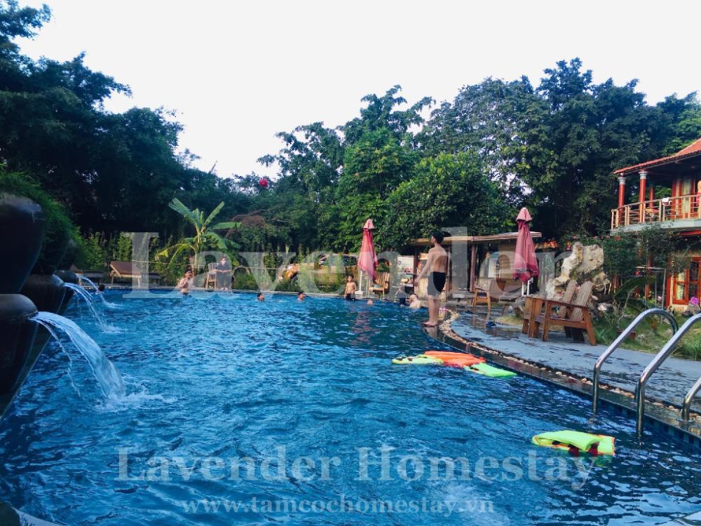 lavender homestay