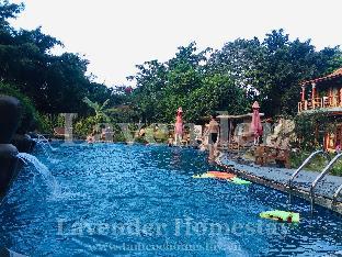 lavender homestay