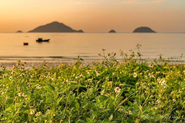 nam hai hotel con dao