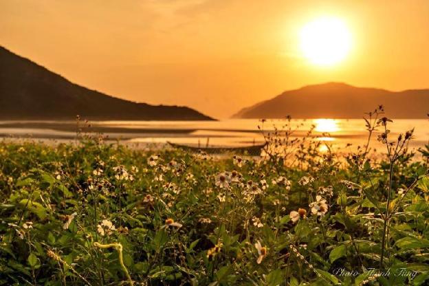 nam hai hotel con dao