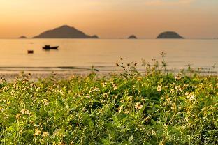 nam hai hotel con dao