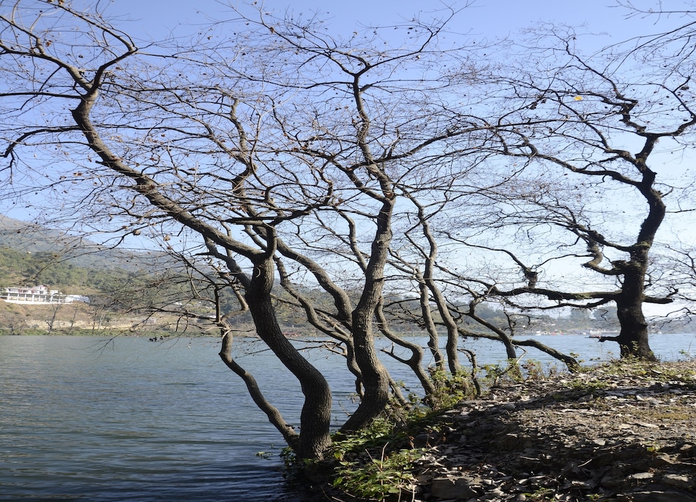 the rosefinch sarovar portico