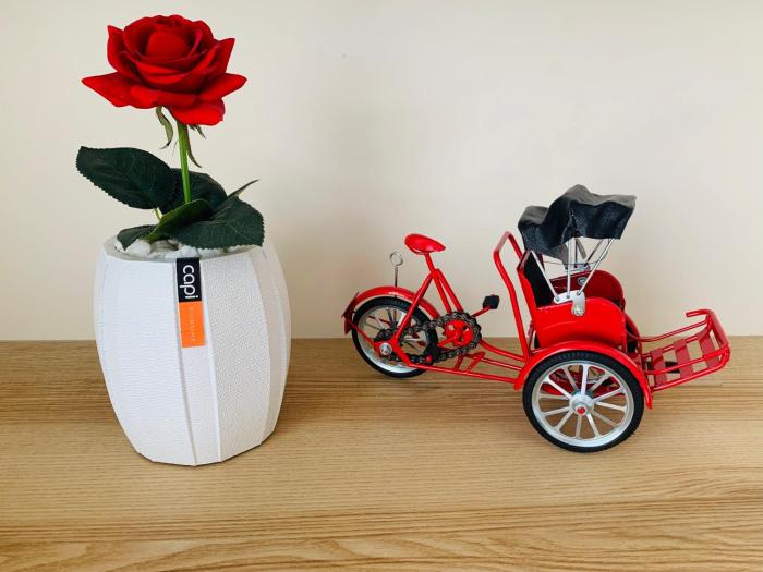 tk view hotel apartment