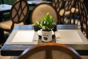 my gallery boutique hotel and spa