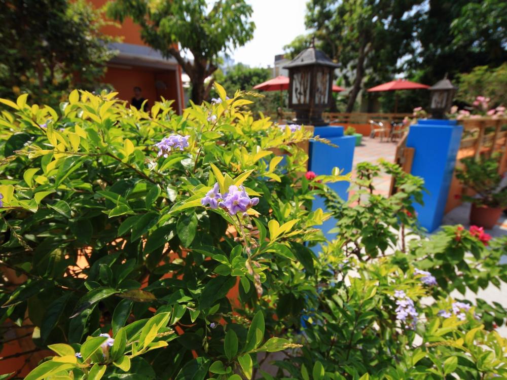 daifuting bed and breakfast