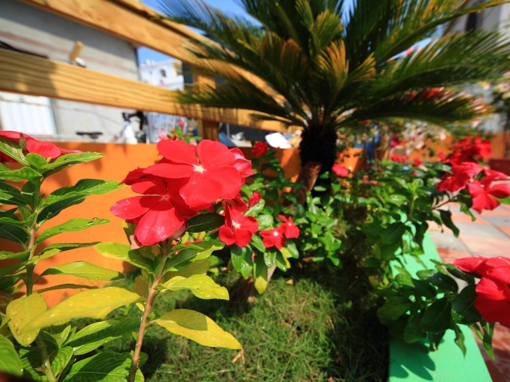 daifuting bed and breakfast