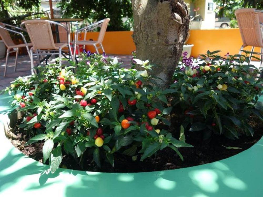 daifuting bed and breakfast