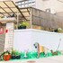 snail pets homestay