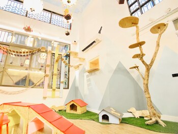 snail pets homestay