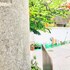 snail pets homestay