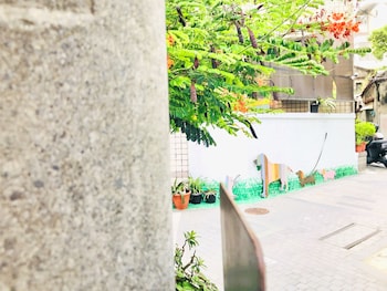 snail pets homestay