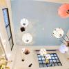 snail pets homestay