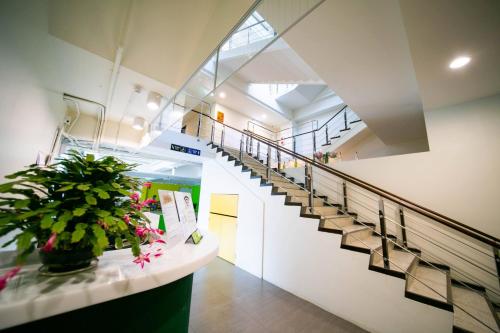 travelers plus hostel