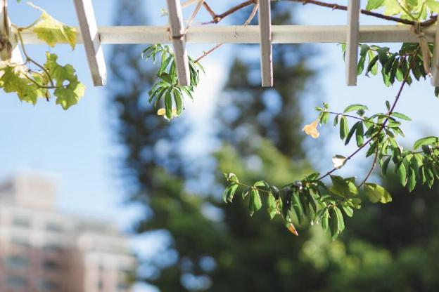 a shin tainan hostel